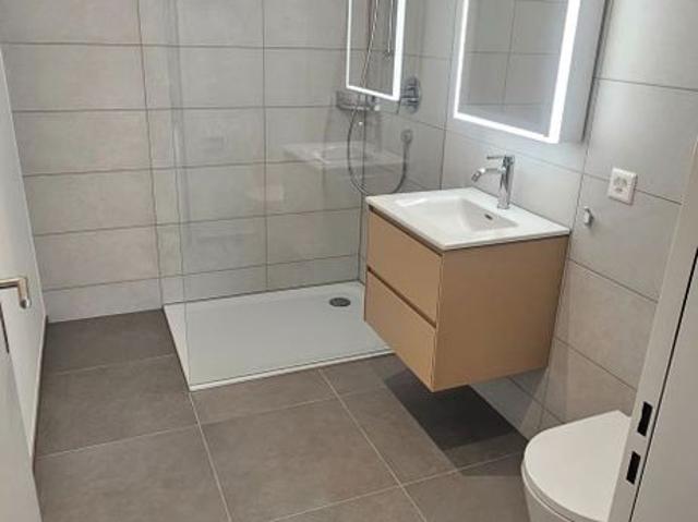 Apartment mieten in Frick, Aargau