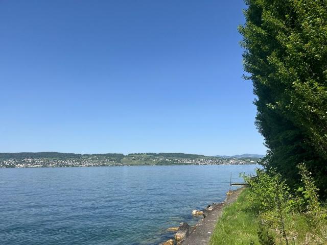 Apartment mieten in Wädenswil, Zürich