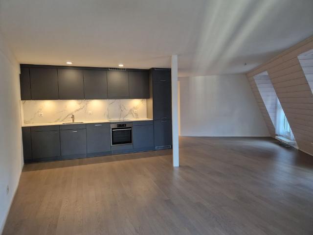 Apartment mieten in Solothurn