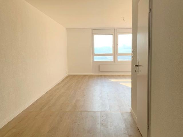 Apartment mieten in Kaiseraugst, Aargau