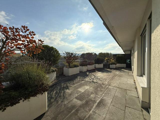 Attikawohnung kaufen in Reinach (BL), Basel-Landschaft