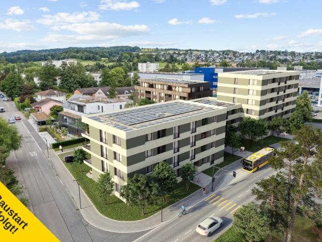 Attikawohnung kaufen in Therwil, Bezirk Arlesheim