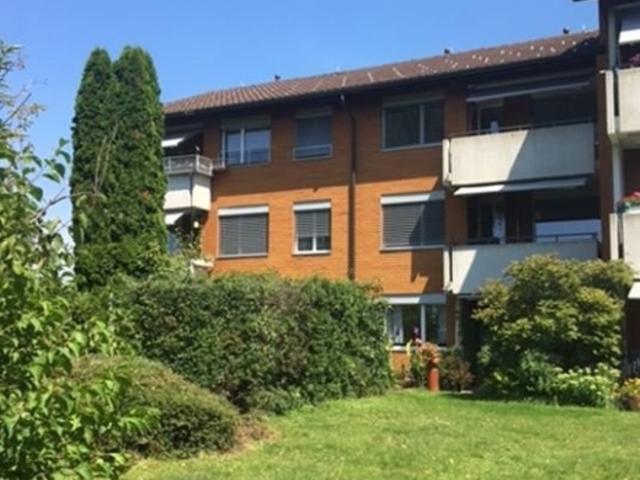 Wohnung mieten in Pfäffikon (SZ), Zürich
