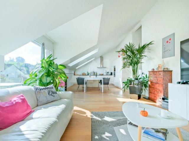 Dachwohnung kaufen in Gebenstorf, Aargau