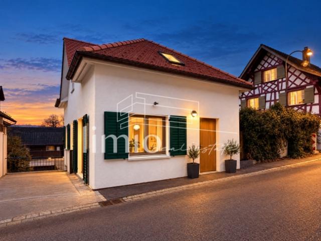 Einfamilienhaus kaufen in Thundorf, Thurgau