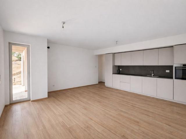 Apartment mieten in Massagno, Tessin