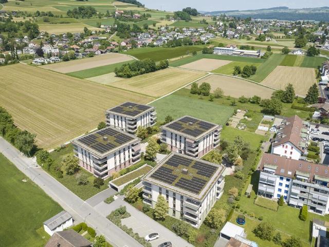 Apartment kaufen in Reinach (AG)