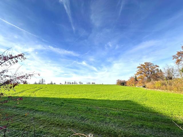 Wohnung mieten in Hefenhofen, Thurgau