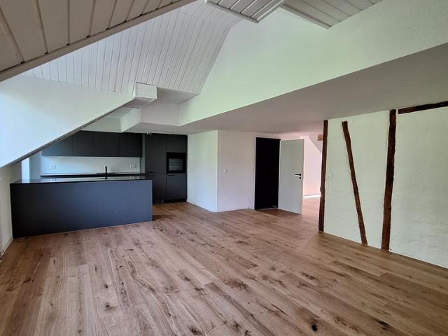 Apartment mieten in Einigen, Zürich