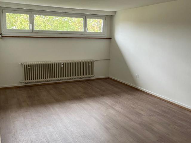 Apartment mieten in Grossbasel, Basel