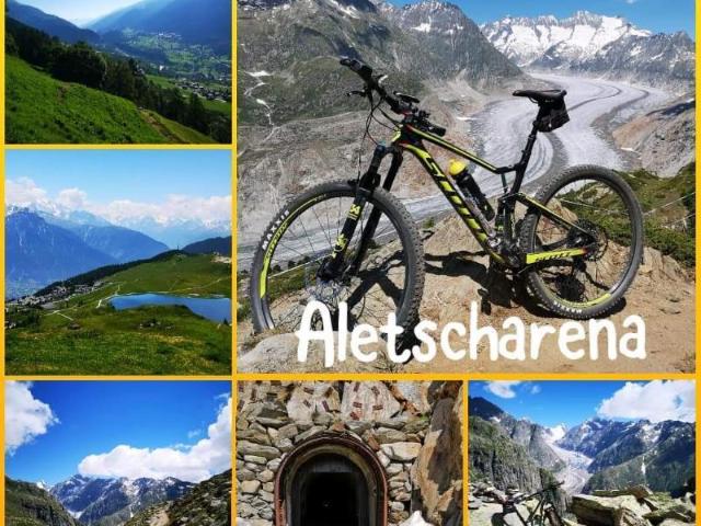 Immobilie mieten in Riederalp, Wallis