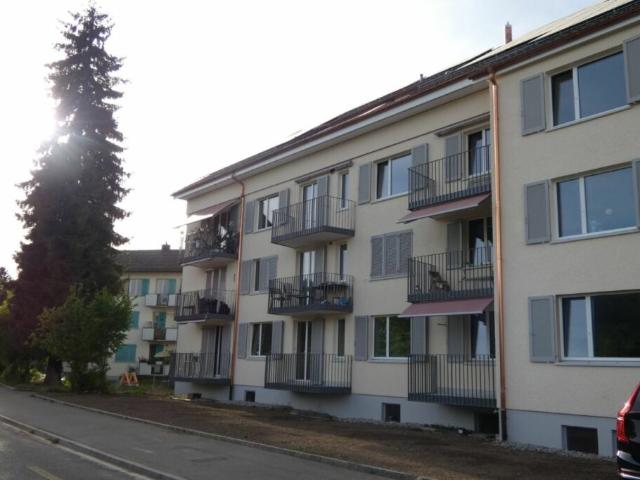 Wohnung mieten in Wettingen, Aargau