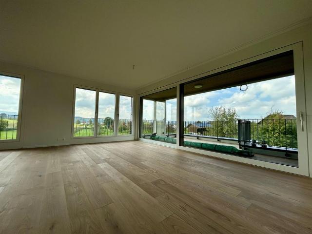 Apartment mieten in Schweikhüsere, Buttisholz