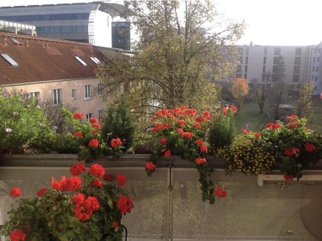 Wohnung kaufen in Ortsbeirat 11 : Kröpeliner-Tor-Vorstadt, Rostock