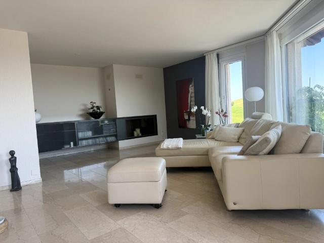 Terrassenwohnung kaufen in Wädenswil, Zürich