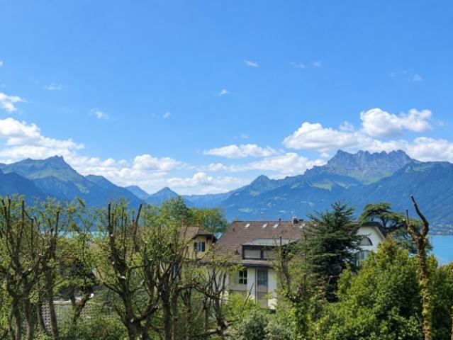 Wohnung kaufen in Vevey, Waadt