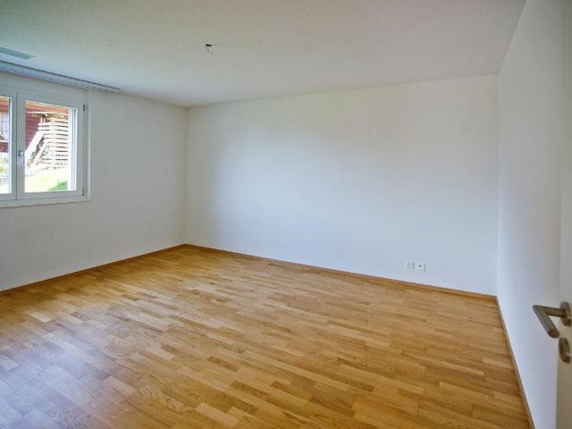 Apartment mieten in Brienz (BE), Bern