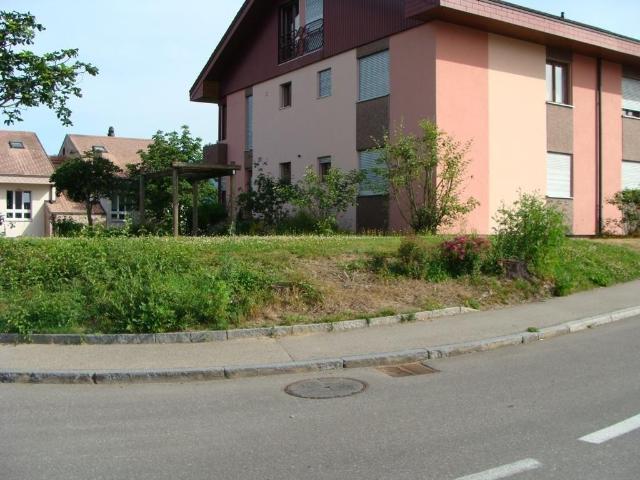 Apartment mieten in Täuffelen, Bern