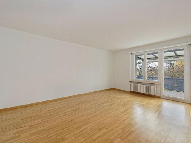 Apartment mieten in Solothurn
