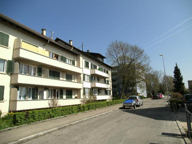 Wohnung mieten in Glockengut, Schaffhausen