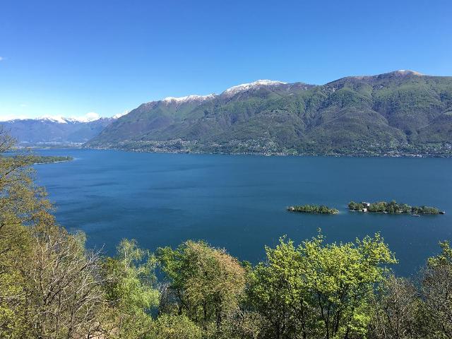 Wohnung kaufen in Porto Ronco, Tessin