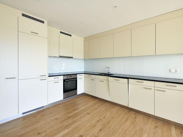Apartment mieten in Gerlafingen, Solothurn