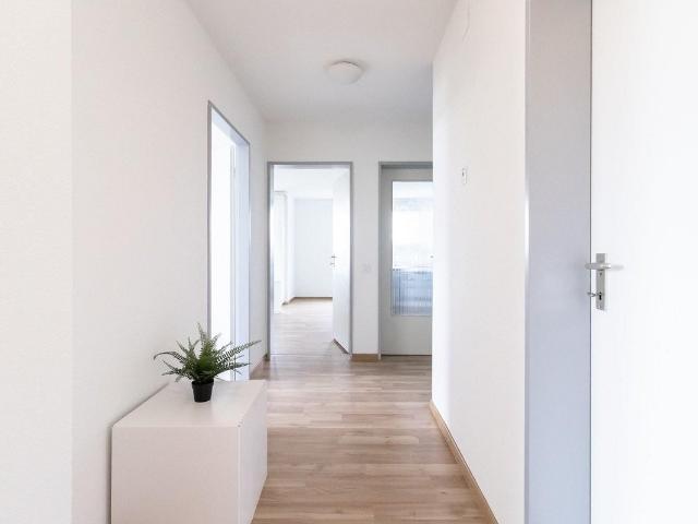 Apartment mieten in Zuchwil, Solothurn
