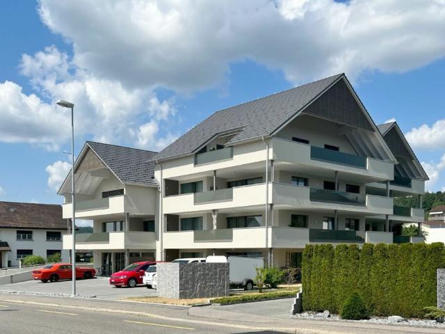 Etagenwohnung mieten in Meisterschwanden