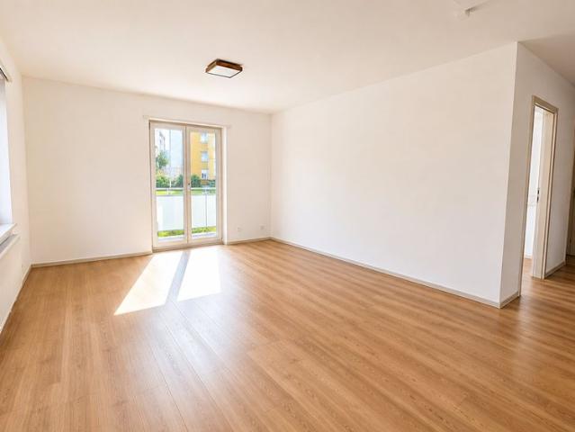 Apartment mieten in Olten, Amtei Olten-Gösgen