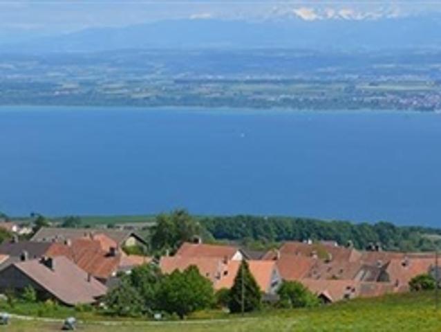Wohnung kaufen in Provence, Waadt