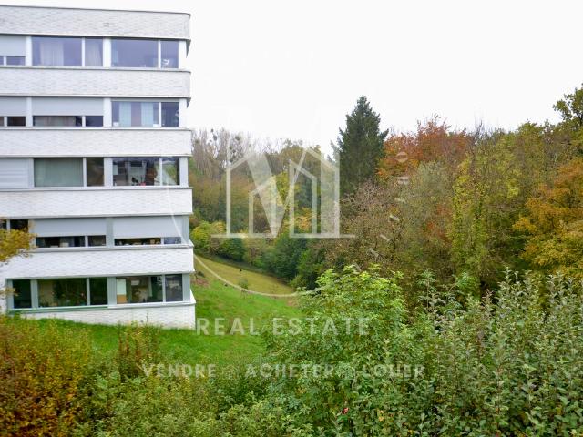 Wohnung mieten in Nyon, Waadt