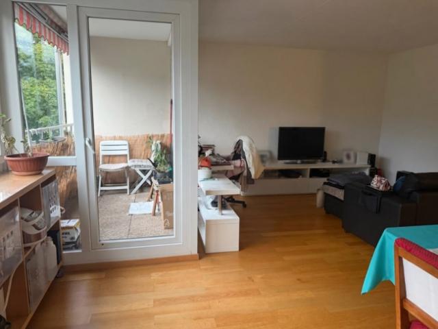 Wohnung mieten in Chêne-Bougeries