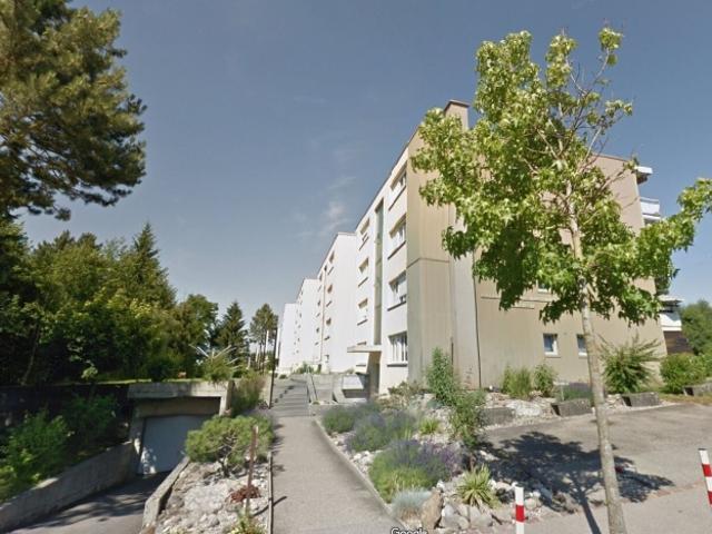 Wohnung mieten in Avenches
