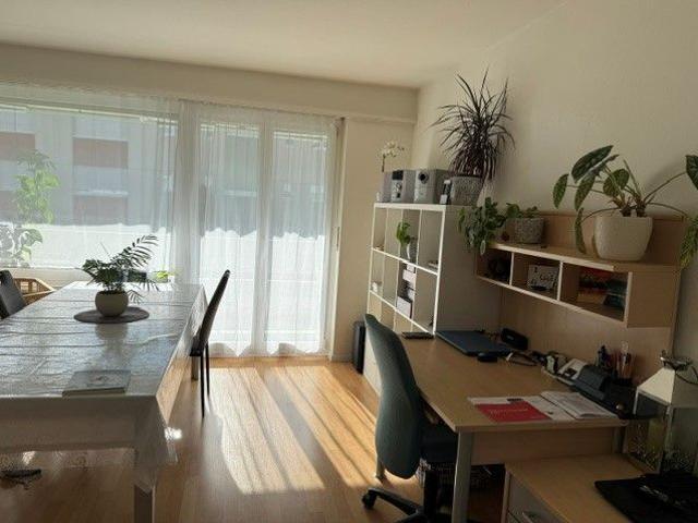 Apartment mieten in Starrkirch-Wil, Amtei Olten-Gösgen