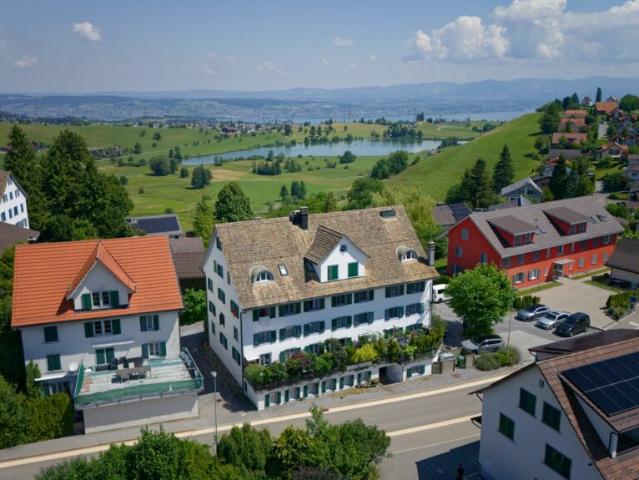 Immobilie kaufen in Wädenswil, Zürich