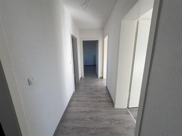 Apartment mieten in Hassel, Gelsenkirchen