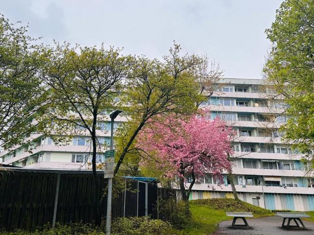 Wohnung kaufen in Ludwigsburg - Mitte, Ludwigsburg