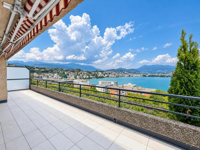 Wohnung kaufen in Paradiso, Tessin