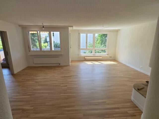 Wohnung mieten in Wangen (ZH), Zürich