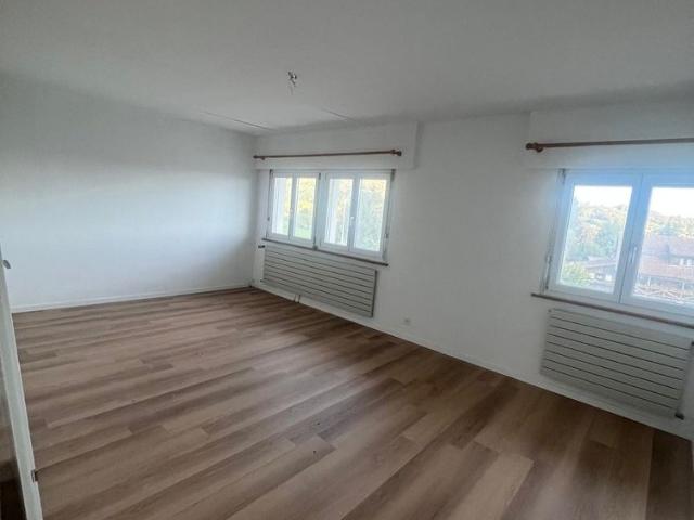 Apartment mieten in Hägendorf, Amtei Olten-Gösgen