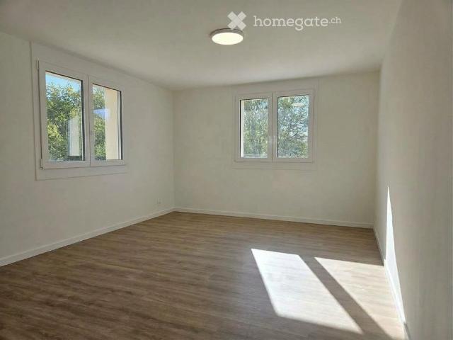 Apartment mieten in Ringwil, Hinwil