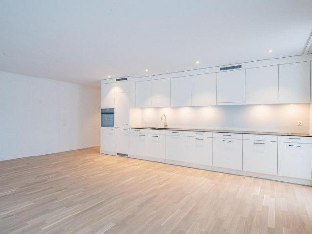 Apartment mieten in Neunkirch, Bezirk Oberklettgau