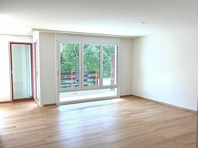 Apartment mieten in Breitenbach, Solothurn