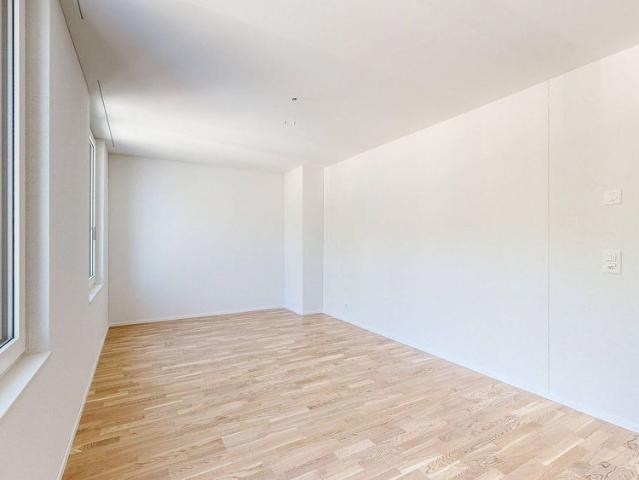 Apartment mieten in Ebnat-Kappel, St. Gallen