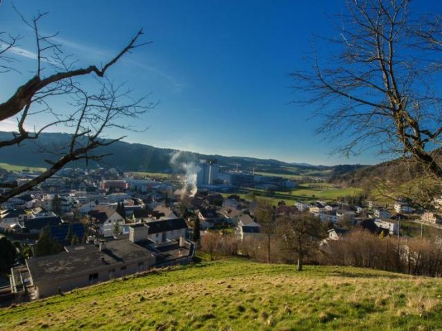 Terrassenwohnung mieten in Nebikon, Lü