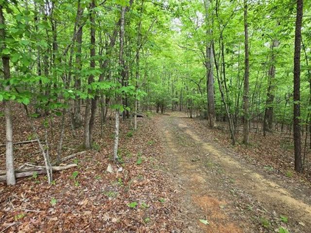 Land for sale in Morganton, Georgia