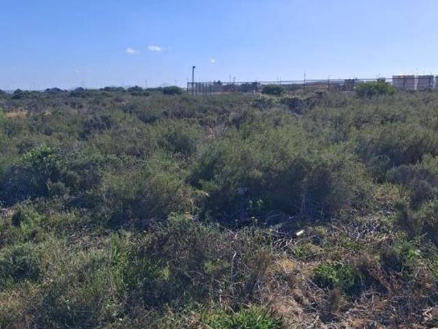 Property for sale in Cape St Francis, Eastern Cape