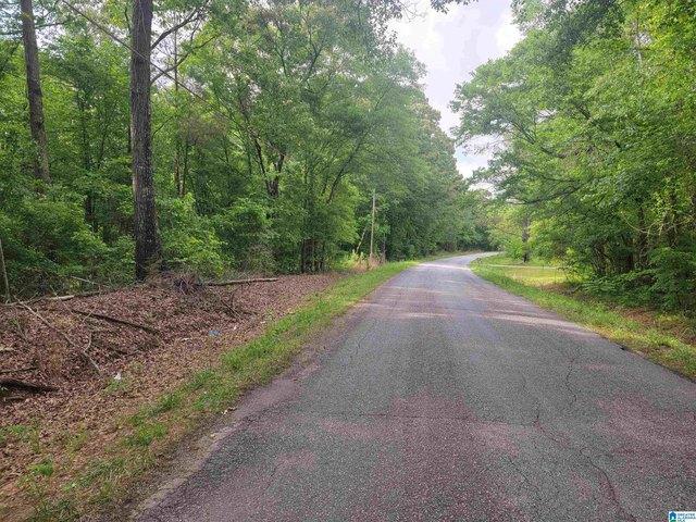 Land for sale in Roanoke, Alabama