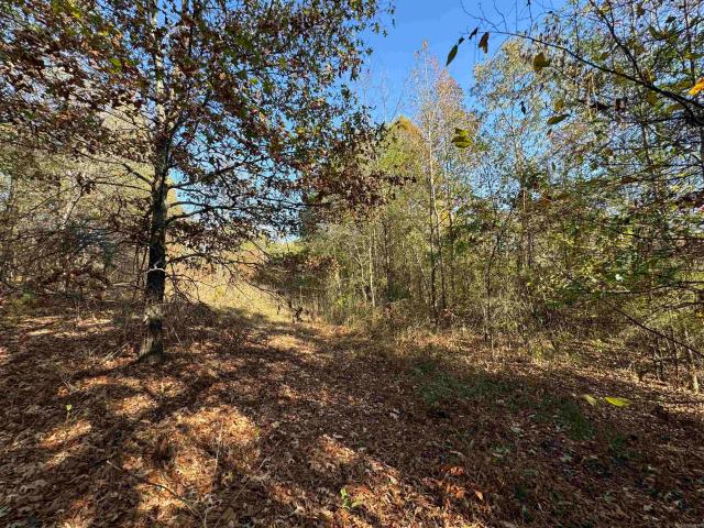 Land for sale in Benton Land for sale in Benton