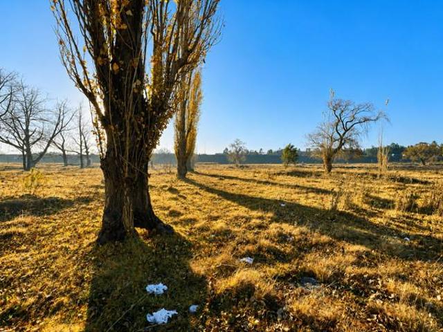 Land for sale in Gert Sibande, Mpumalanga